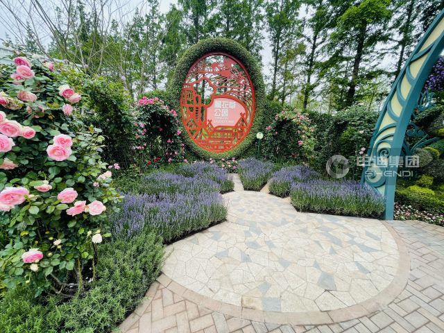 花博会上海国际旅游度假区花园荣誉日微信图片_202105211521232.jpg